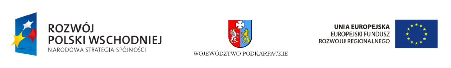 logotyp województwa podkarpackiego